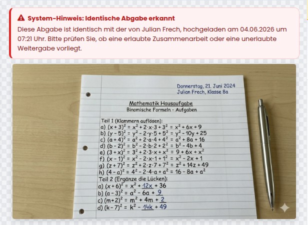 Hinweis des Viewers auf zwei identische Abgaben